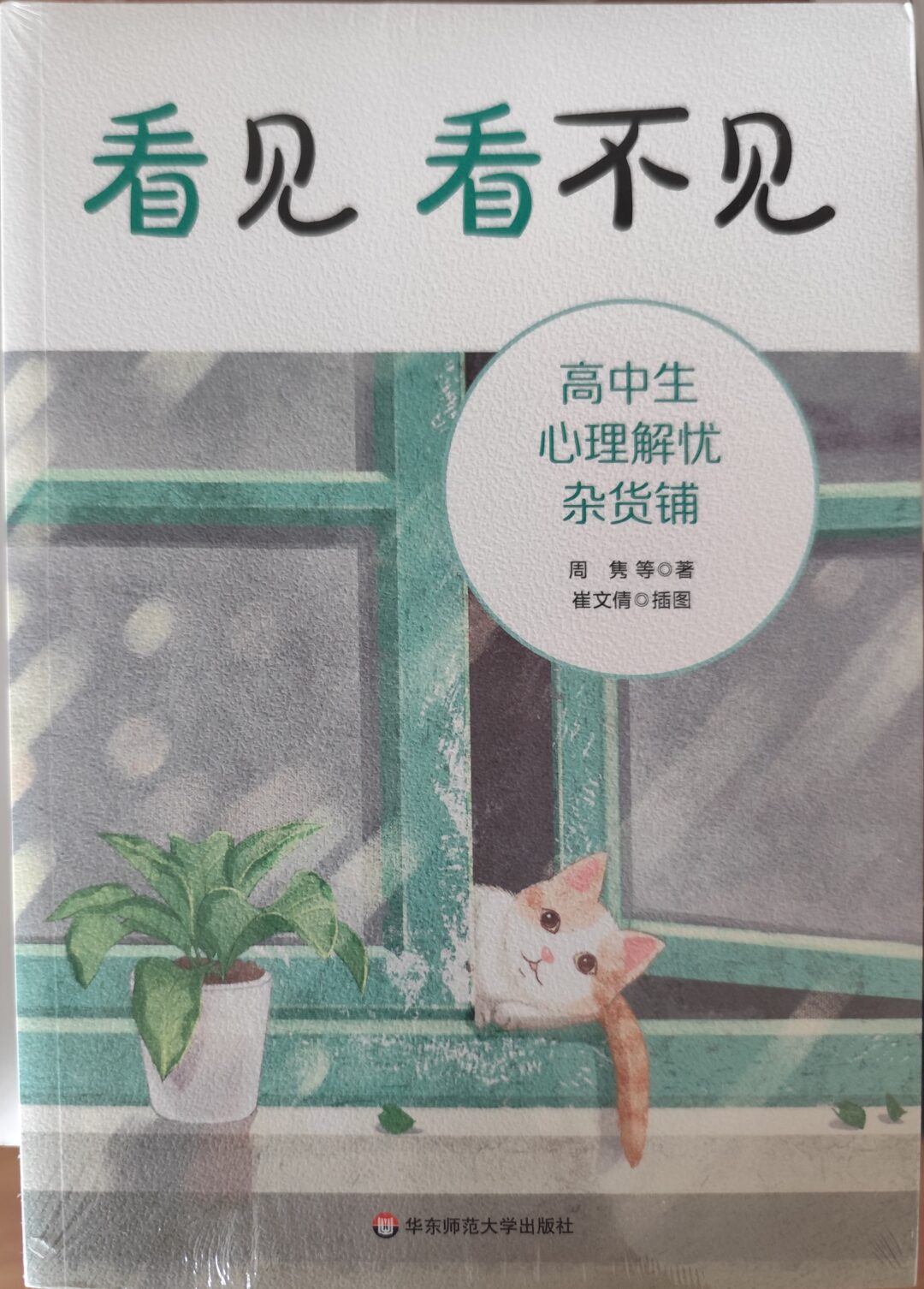看见看不见——高中生心理解忧杂货铺